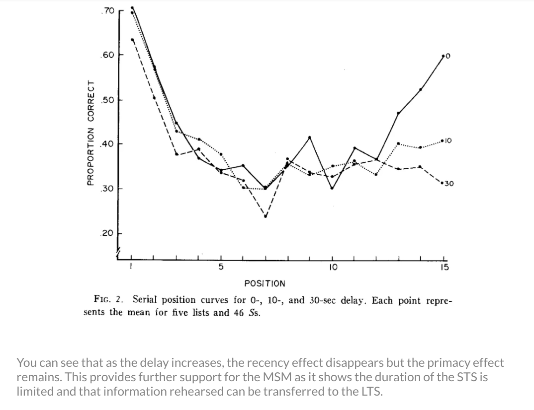 graph of how distractions impact the serial position effect