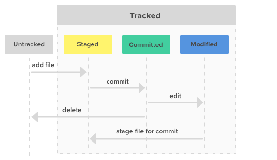 learn-git-basics