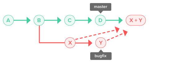 Learn Git Basics