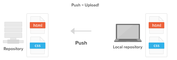 Learn Git Basics